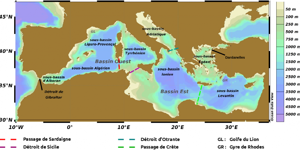 The nature of the exported iron plays a major role in its ocean cycle