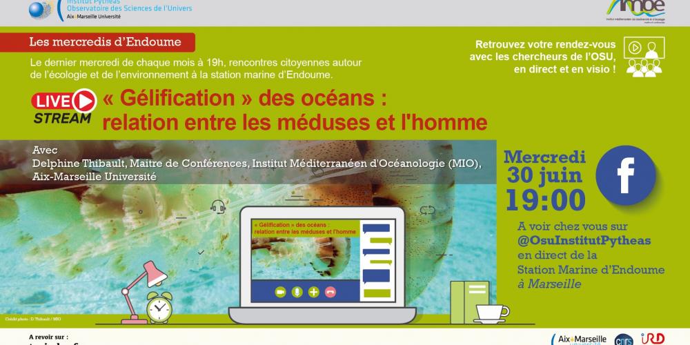 Ocean "Gelition": the relationship between jellyfish and humans. A conference by Delphine Thibault