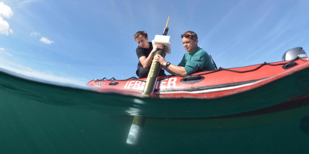 New autonomous robots to better observe the ocean 