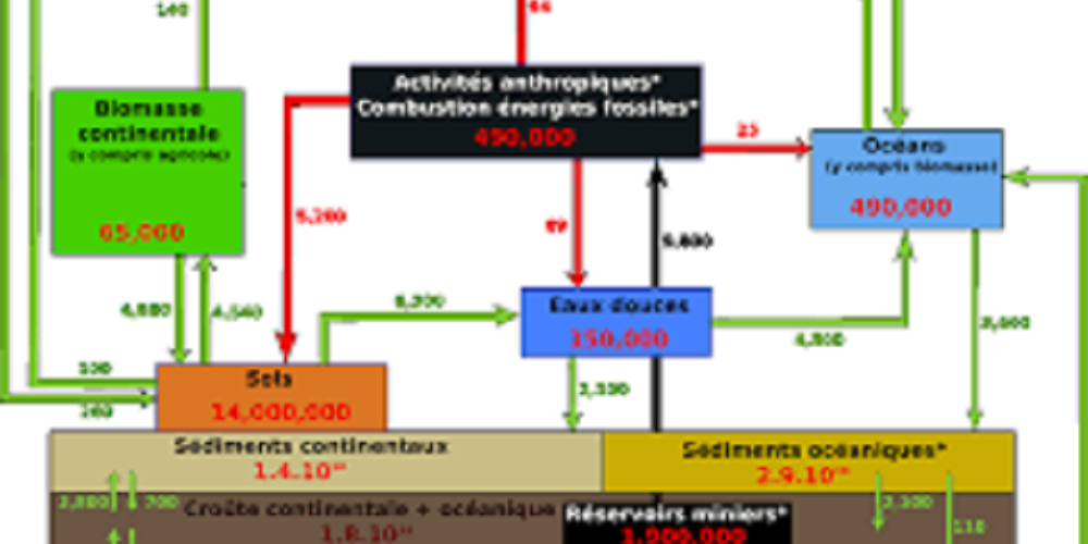 Amel Nouara (CEM team) will defend his thesis on: Thursday, September 26 at 11:00, Amphitheatre Océanomed (Luminy)