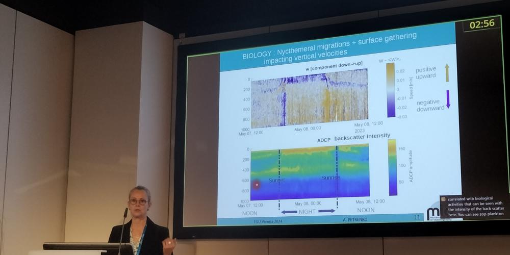 MIO at the EGU 2024 Congress