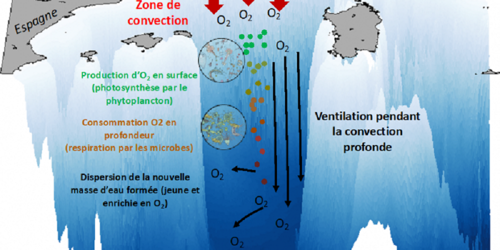 La Méditerranée à bout de souffle ?