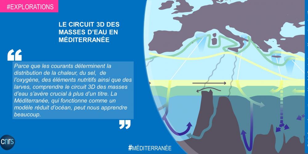 The 3D circulation of water masses in the Mediterranean Sea 