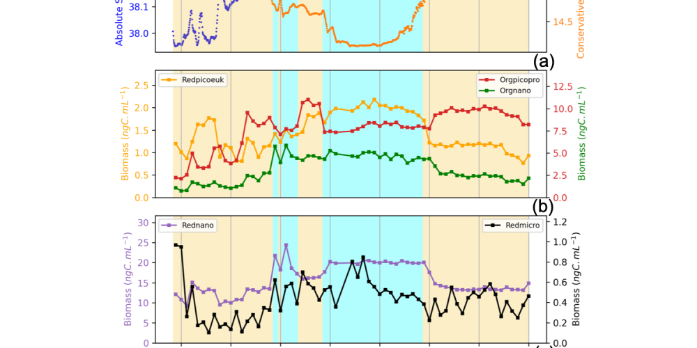 Phytoplankton at the heart of storms