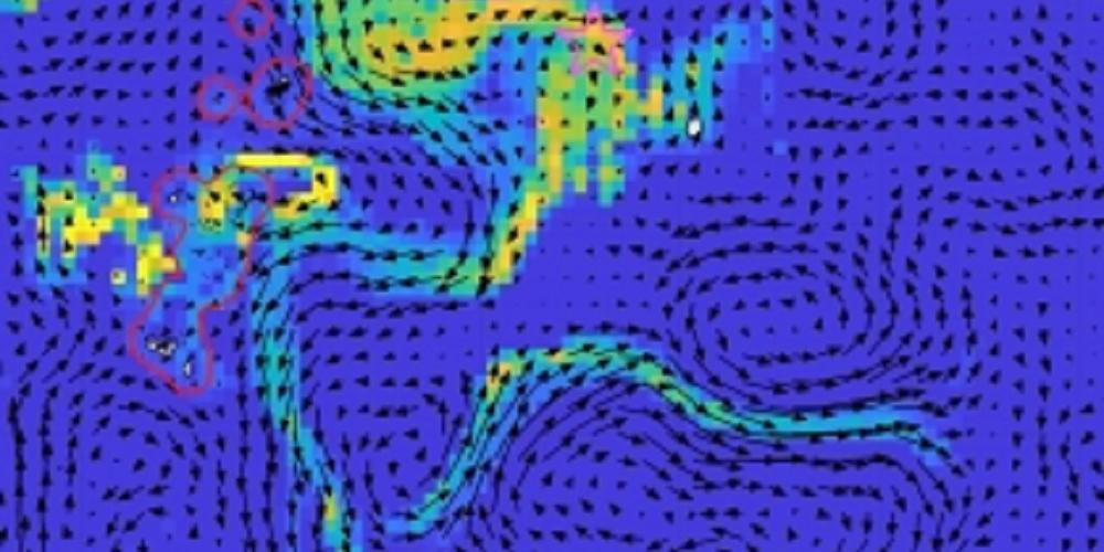 Comment les îles du Pacifique tropical peuvent-elles fertiliser le plancton à distance ?