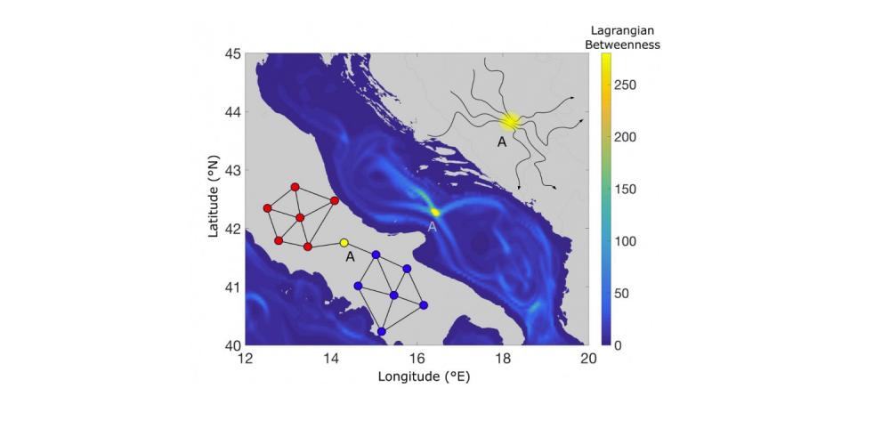 Identify bottlenecks as hubs of the ocean circulation transport system