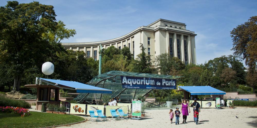 The Paris Aquarium launches a new series of scientific conferences "Les après-midi du plancton".