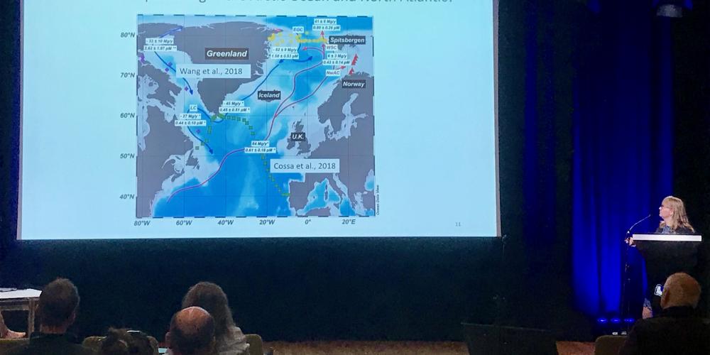 MIO at the 14th International Conference on Mercury as a Global Pollutant (ICMGP) in Krakow