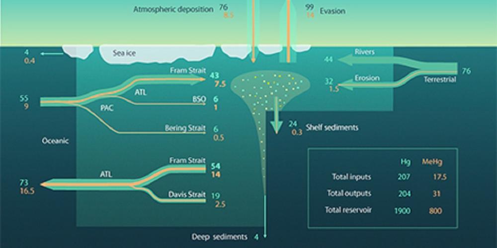 The Arctic Ocean exports mercury to the Atlantic Ocean