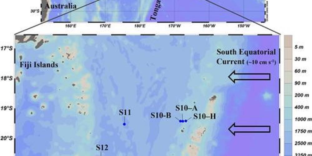 Assessing the contribution of diazotrophs to microbial Fe uptake using a group-specific approach in the tropical South Pacific Ocean