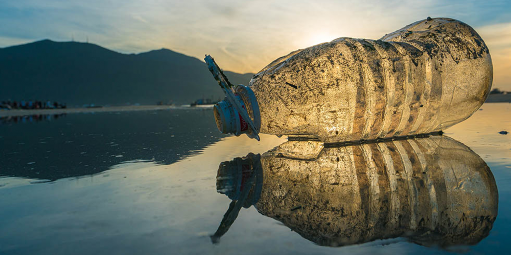 "Plastic Planet" Conference at the Cité des Sciences et de l'Industrie