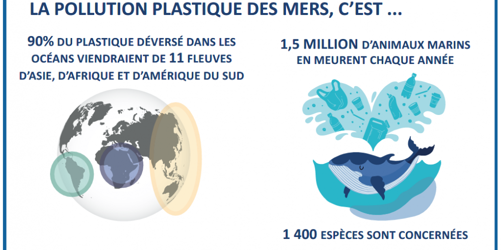 Plastic in the food chain, from plankton to humans