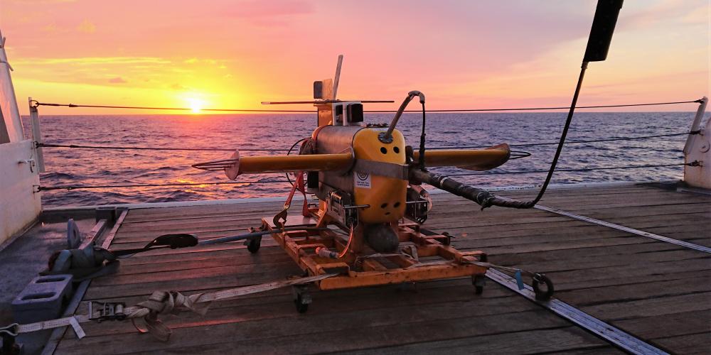 The waltz of phytoplankton in the Mediterranean