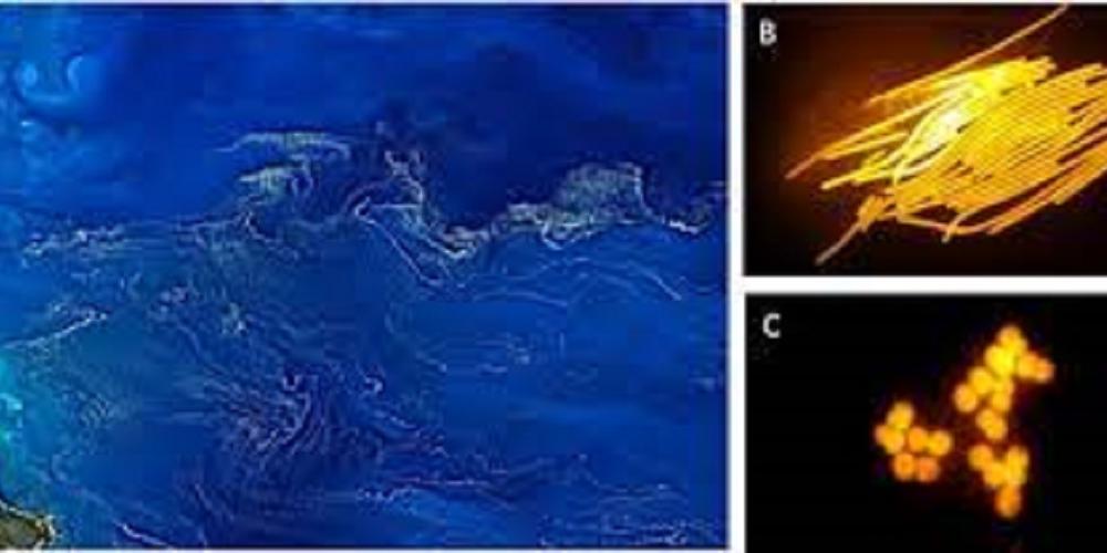 What if the tropical oceans are trapping more CO₂ than expected?