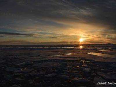  The Arctic Ocean